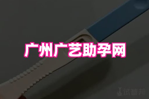 试管助孕网站 2