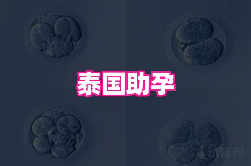试管助孕网站 3